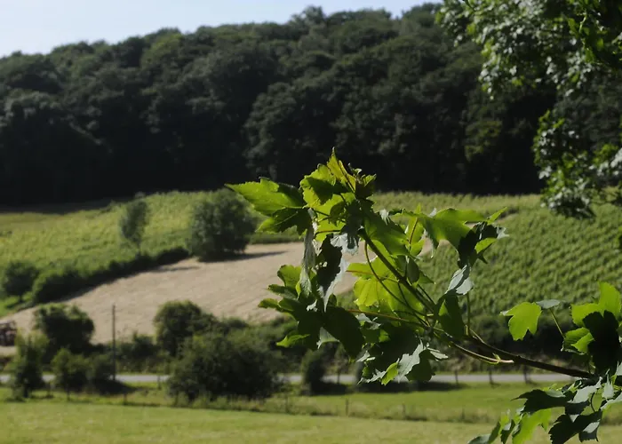 ホテル Restaurant De Kommel 3*